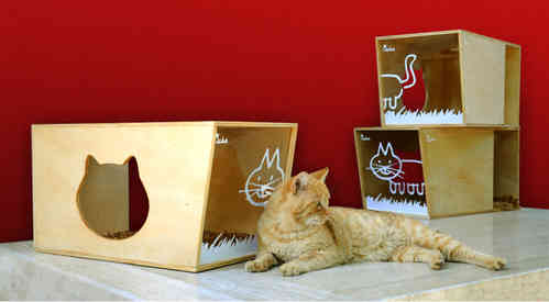 Qcha Star - cuccia per gatto